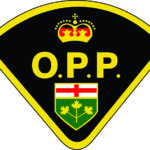 OPP Logo 4C